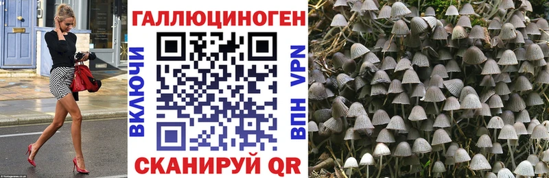 Псилоцибиновые грибы прущие грибы  Орлов 
