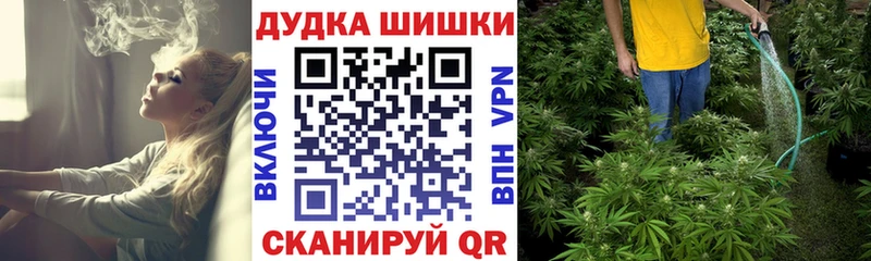 Шишки марихуана OG Kush  купить наркоту  Орлов 